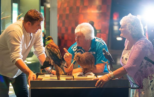 Visitors engaging with bird exhibits at Te Papa Tongarewa Museum's Gallipoli Exhibition.
