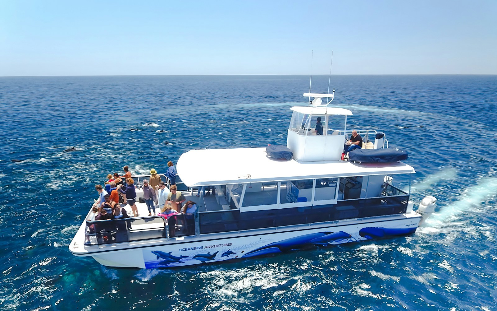 Tourists on a boat during a whale watching tour in San Diego.