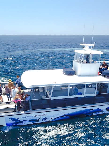 Tourists on a boat during a whale watching tour in San Diego.