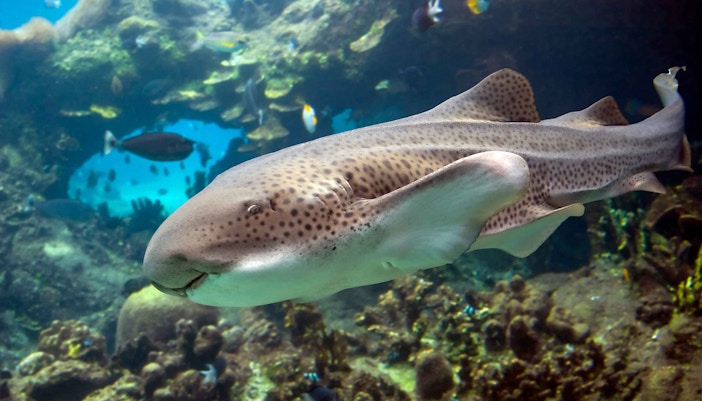 Get hands-on with interactive exhibits