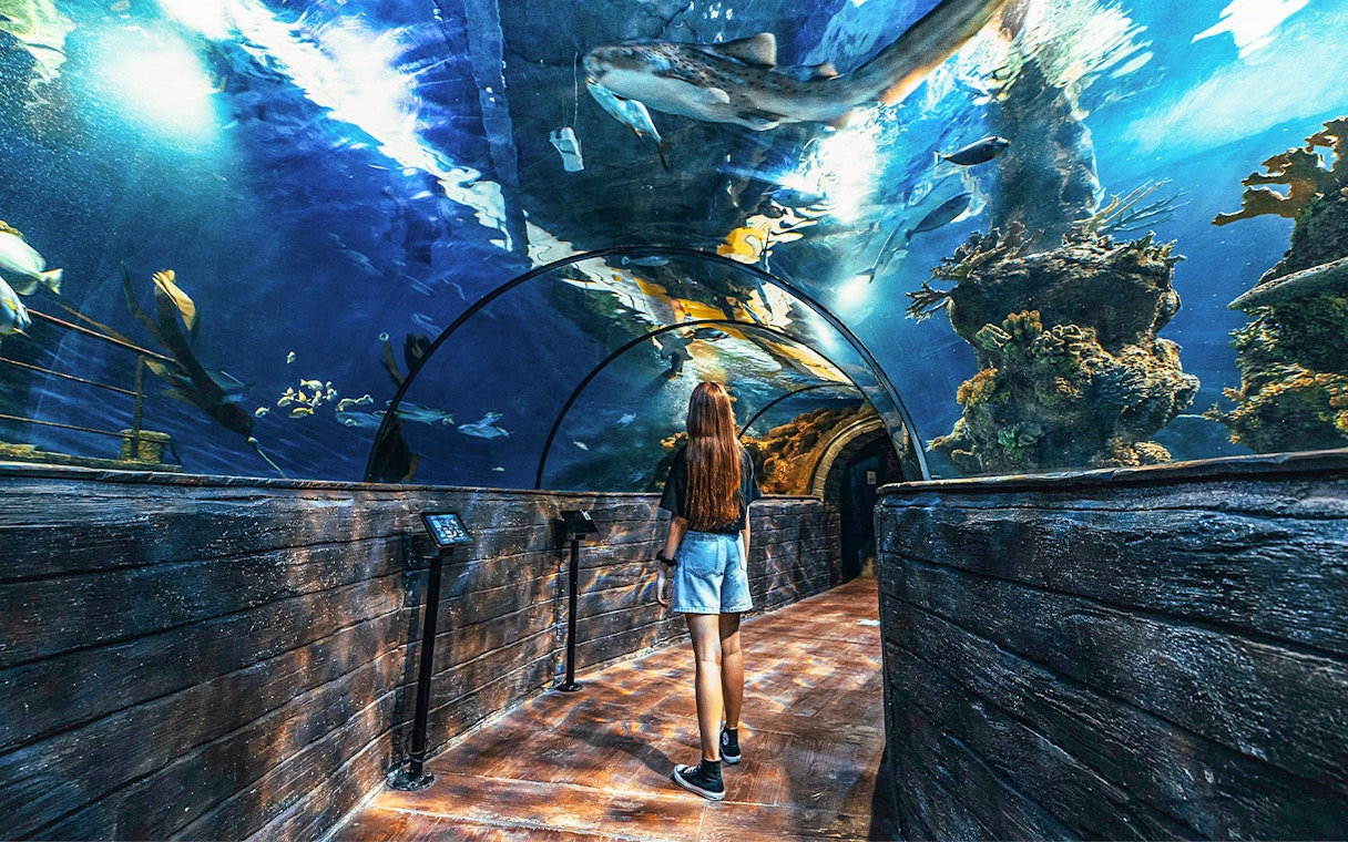 Woman walking through underwater tunnel at Malta National Aquarium.