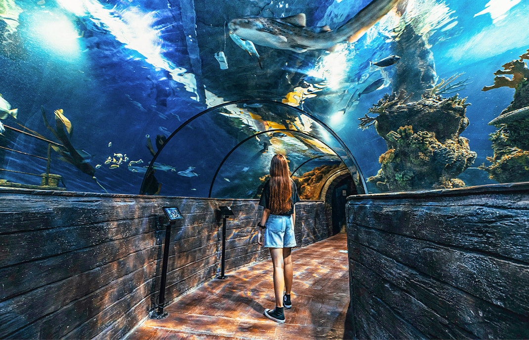 Walk through immersive tunnels