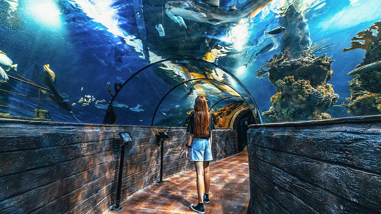 Malta National Aquarium