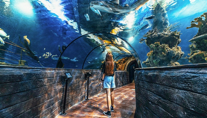 tourist at Malta National Aquarium