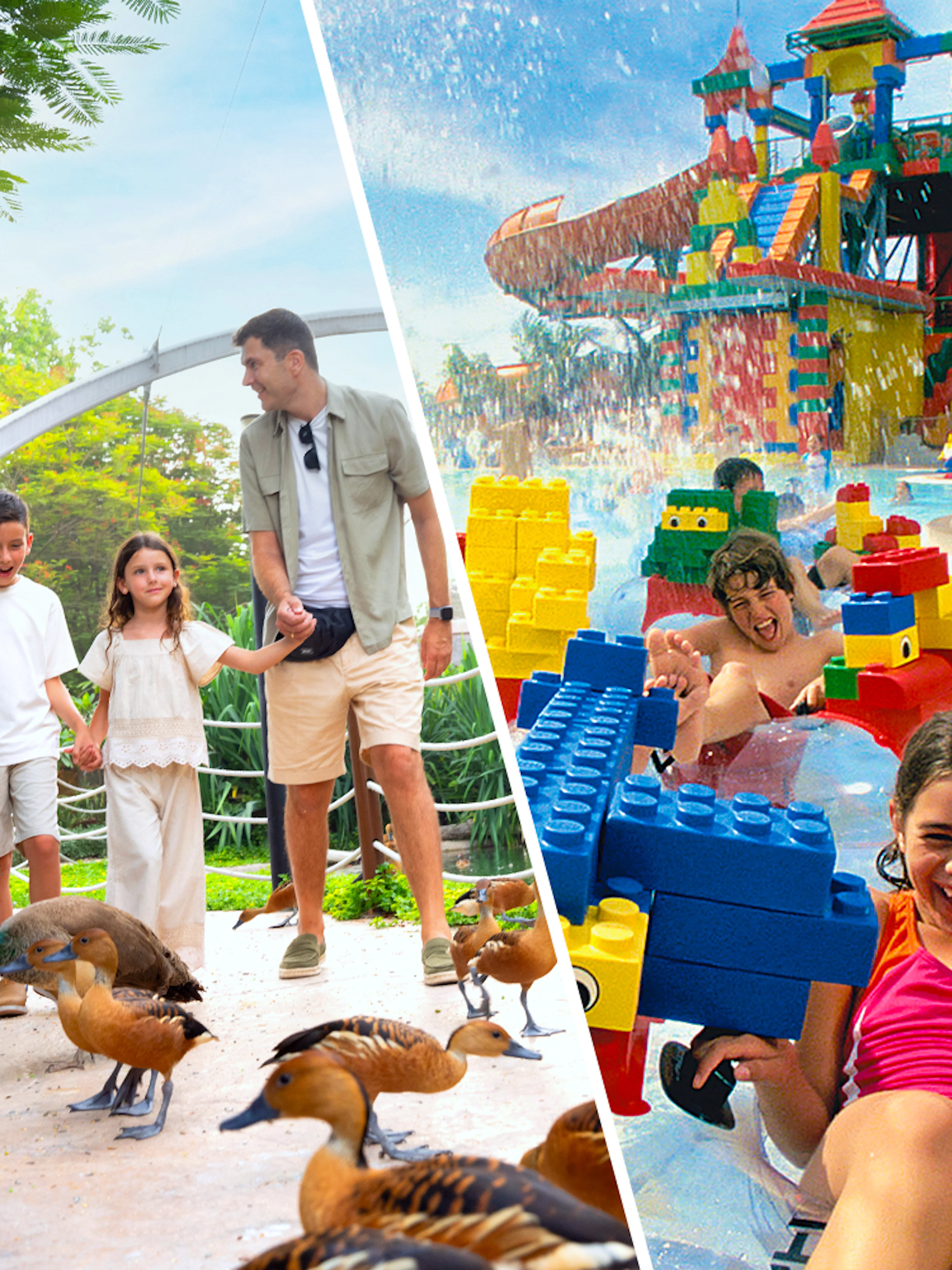 Family walking among ducks at Dubai Safari Park and children enjoying LEGOLAND Water Park.