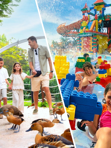 Family walking among ducks at Dubai Safari Park and children enjoying LEGOLAND Water Park.