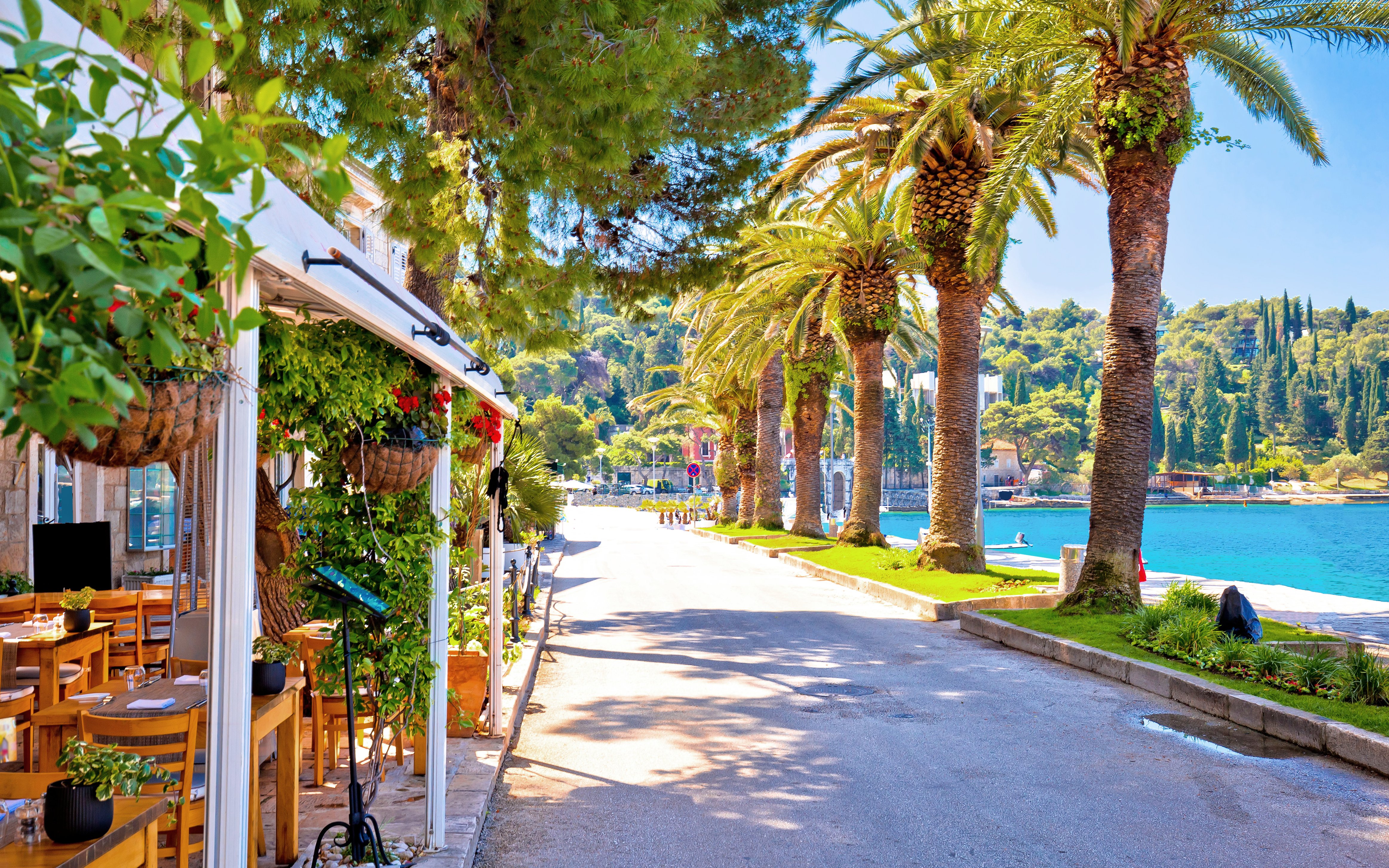 Waterfront street with palm trees and outdoor café in Cavtat, Croatia.