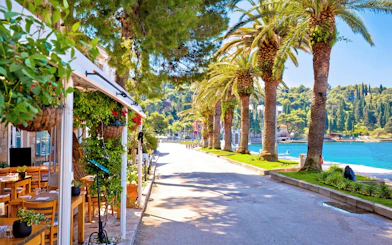 Waterfront street with palm trees and outdoor café in Cavtat, Croatia.