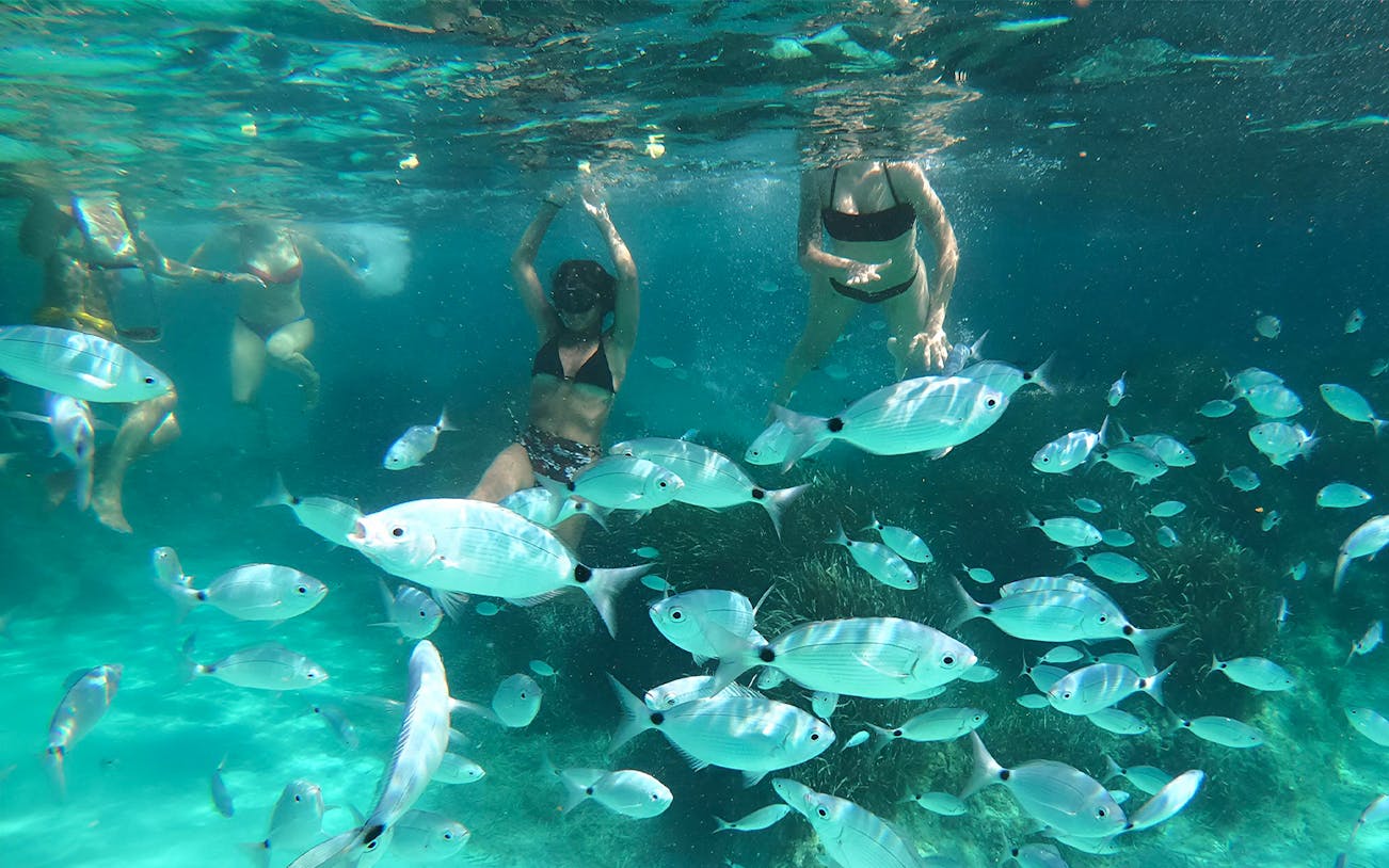 Snorkelers swimming among fish in clear waters during Egadi Islands day trip.