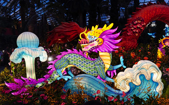 Colorful dragon lantern display at Gardens by the Bay Cloud Forest, Singapore.