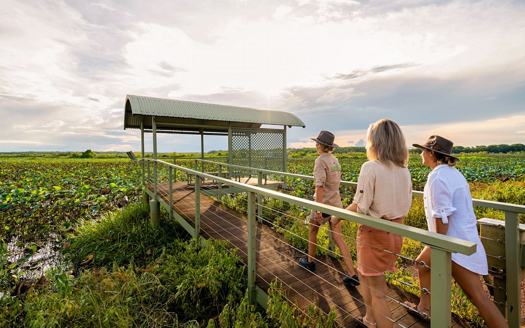 Visitors walking on a boardwalk through Kakadu wetlands during a guided tour from Darwin.