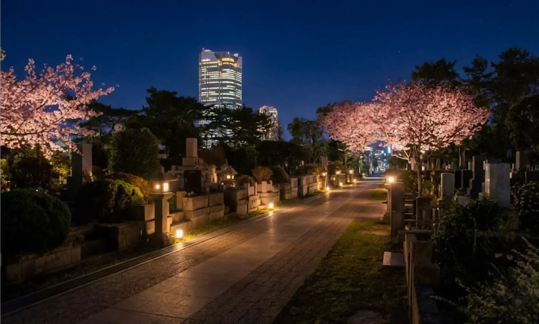 rundgang durch tokio zu geistern und urbanen legenden mit besuch des aoyama-friedhofs-1