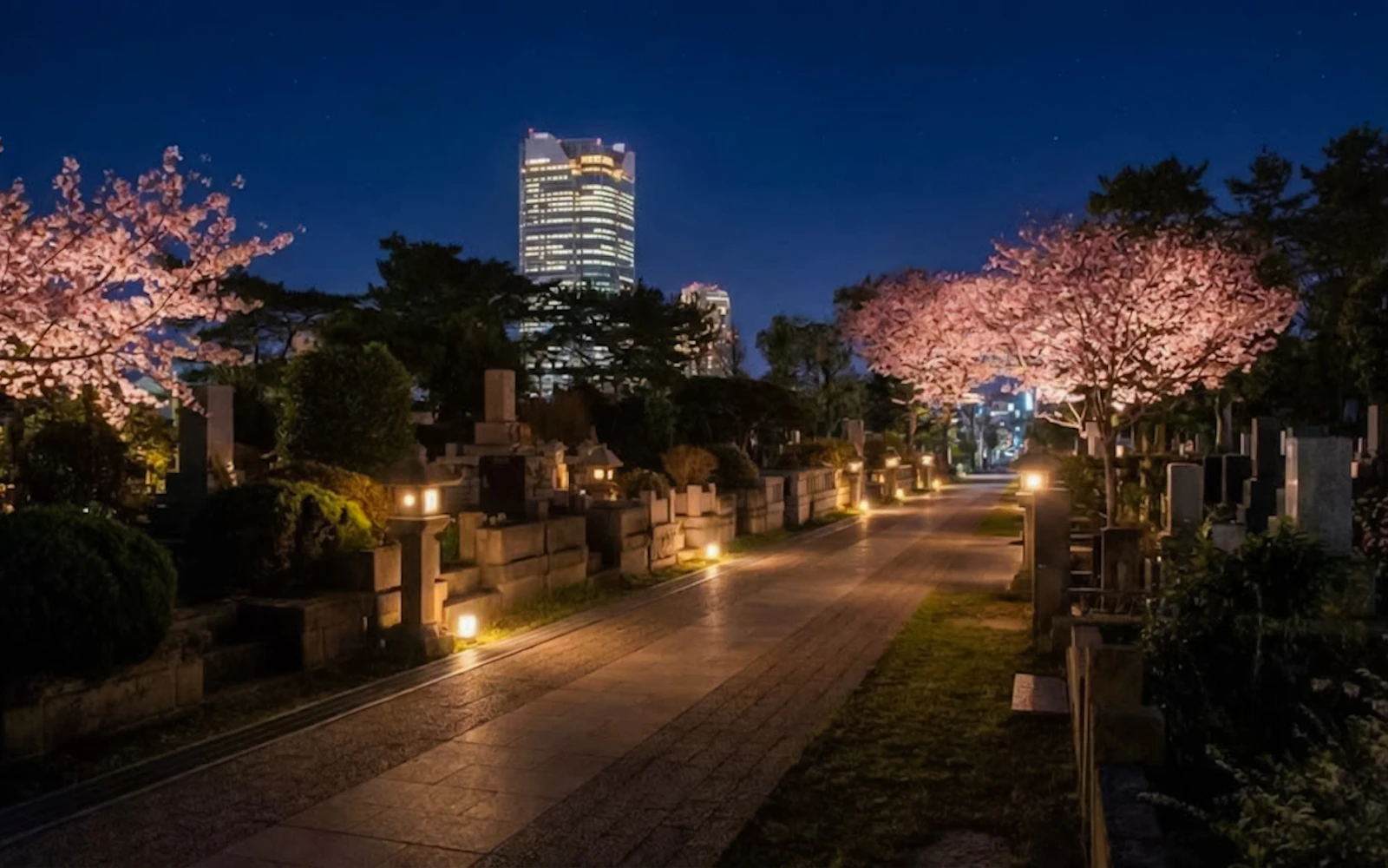 Tokyo Night Ghosts and Urban Legends Walking Tour with Aoyama Cemetery