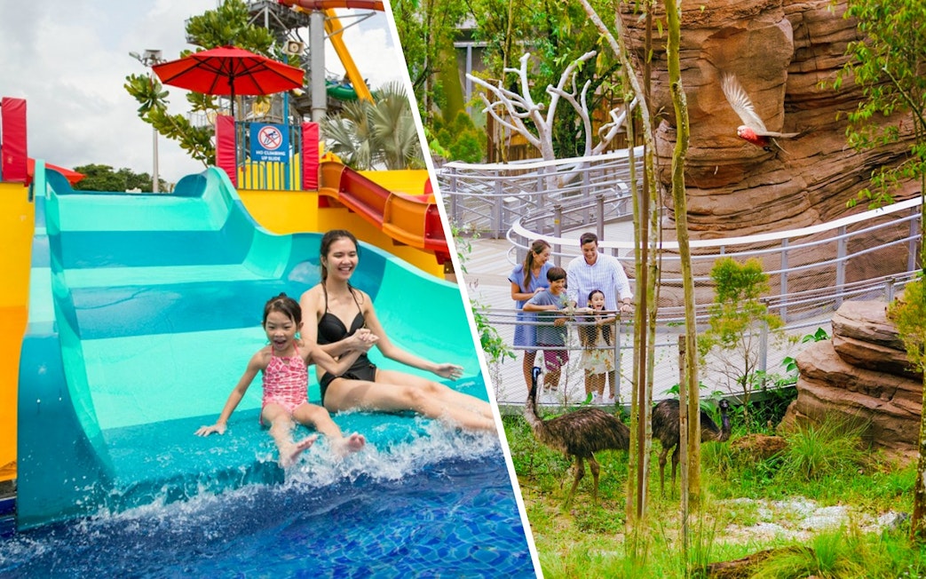 Family observing emus at Shaw Foundation Australian Outback Aviary, with a water slide in the background.