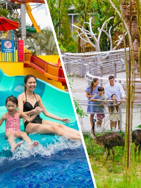 Family observing emus at Shaw Foundation Australian Outback Aviary, with a water slide in the background.
