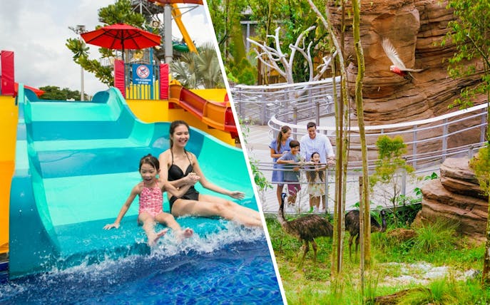 Family observing emus at Shaw Foundation Australian Outback Aviary, with a water slide in the background.