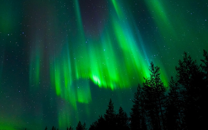 Northern Lights over forest in Tromso, Norway.