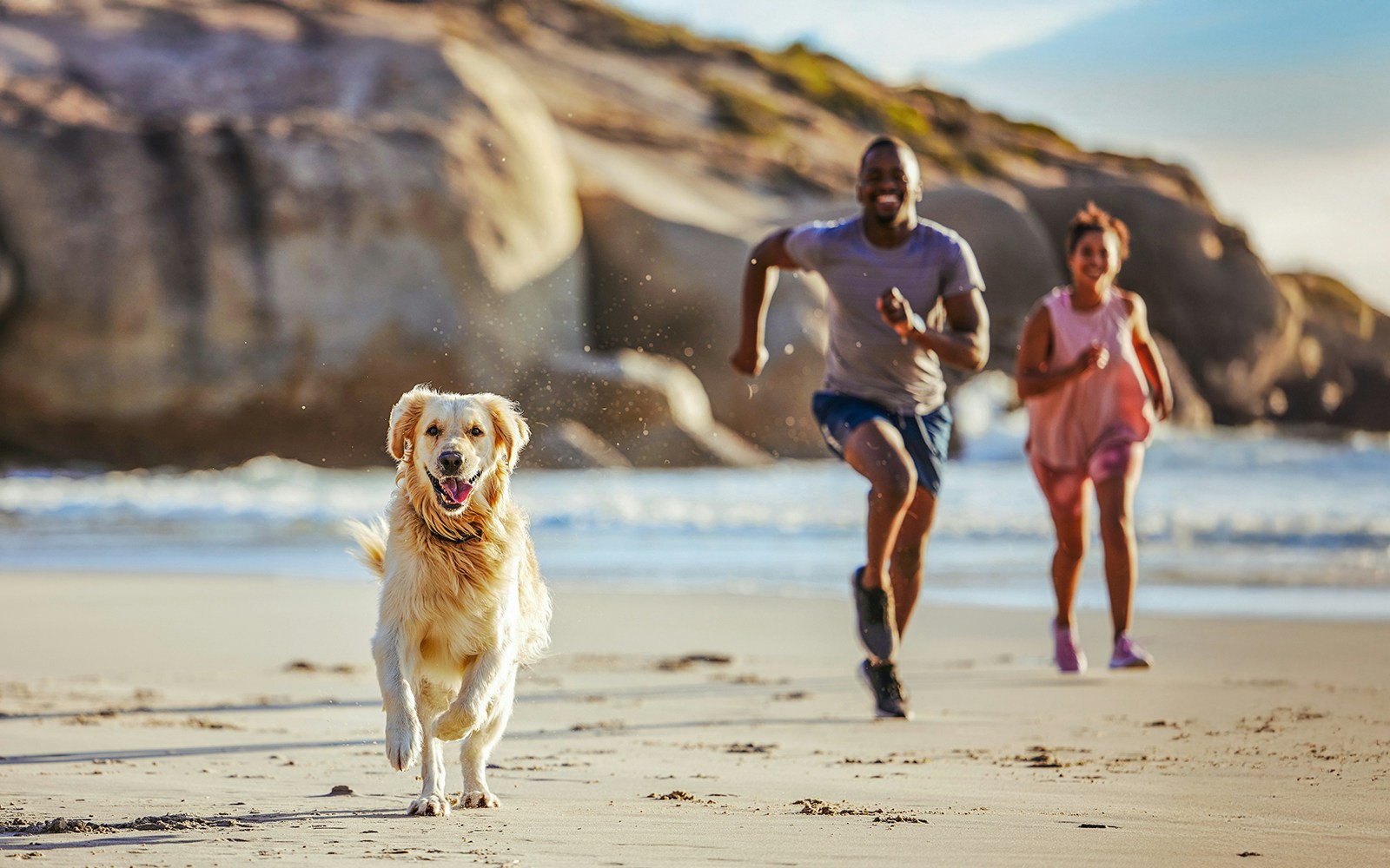 Great Ocean Road beach with people and dog running along the shoreline.