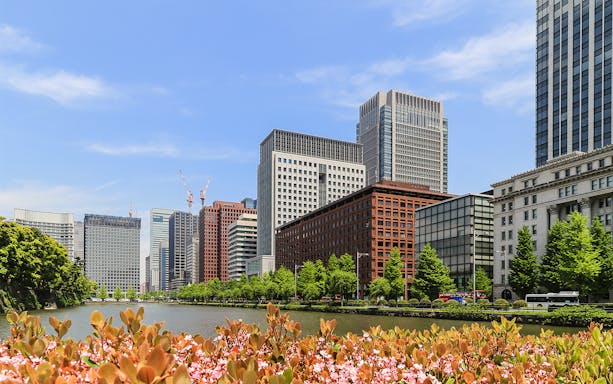 Tokyo skyline with modern buildings and a canal, viewed from a park with flowers.
