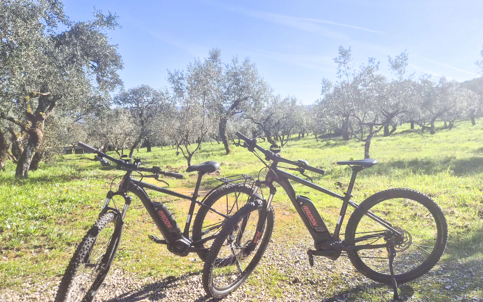 Fátima E-Bike Guided Tour: Sanctuary & Shepherds' Houses Image 2