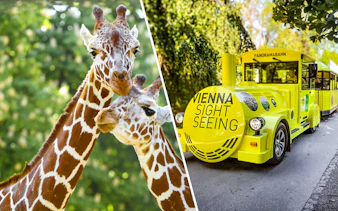 Giraffes at Schönbrunn Zoo and Vienna sightseeing train.
