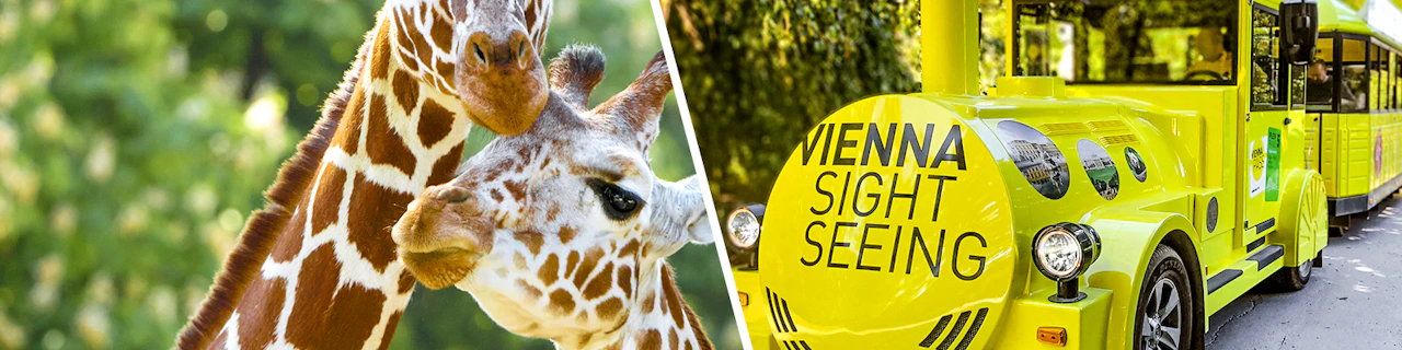Combo: Ingressos para o zoológico de Schönbrunn + passeio de trem panorâmico do Palácio de Schönbrunn