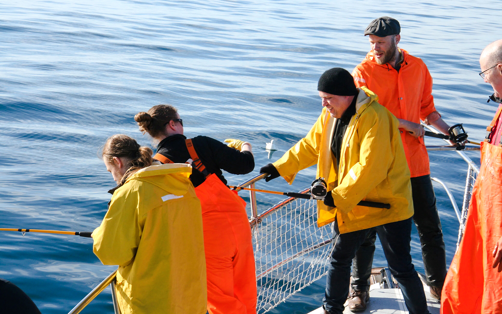 Guests fishing on a boat during Reykjavík Sea Angling Gourmet tour.
