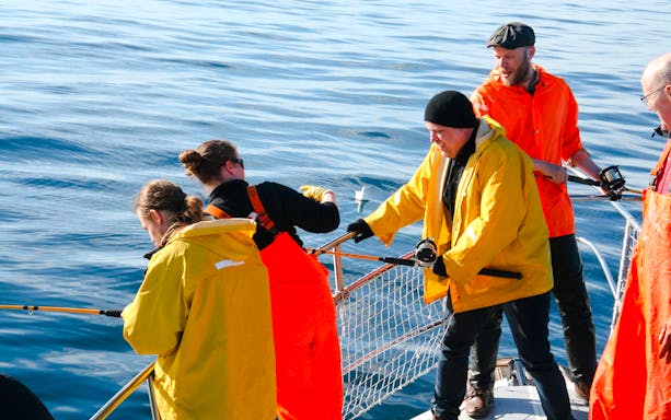 Guests fishing on a boat during Reykjavík Sea Angling Gourmet tour.