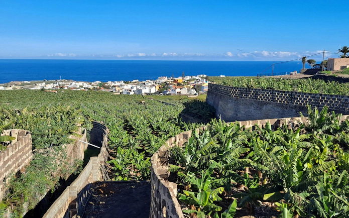 Gran Canaria banana plantation with ocean and village view.