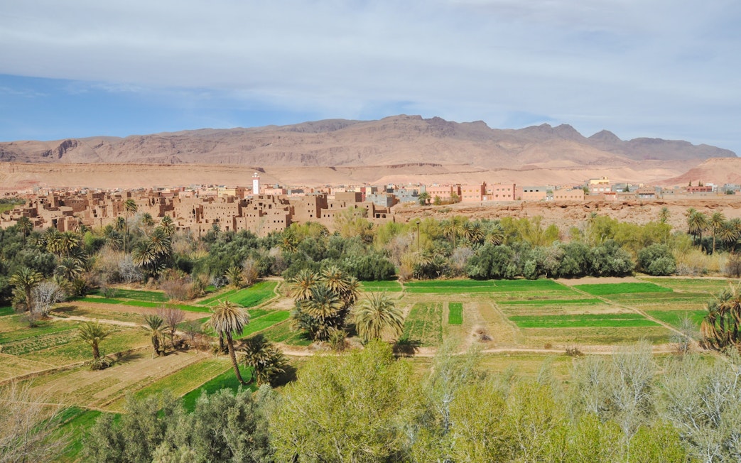 Palmeraie landscape with palm trees and traditional buildings against a mountain backdrop.