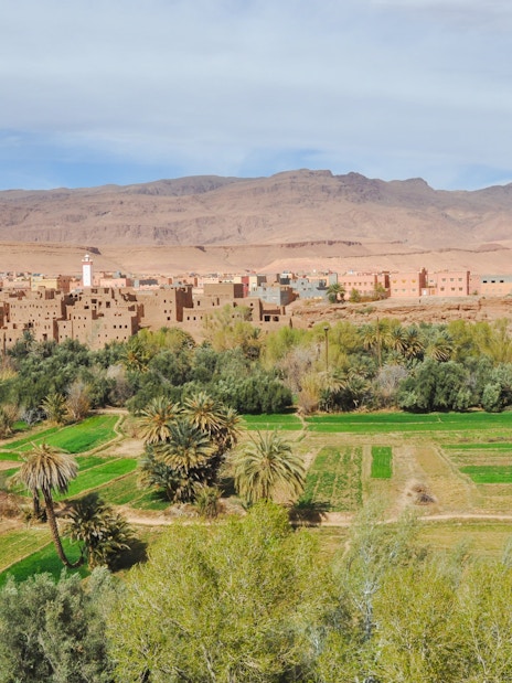 Palmeraie landscape with palm trees and traditional buildings against a mountain backdrop.