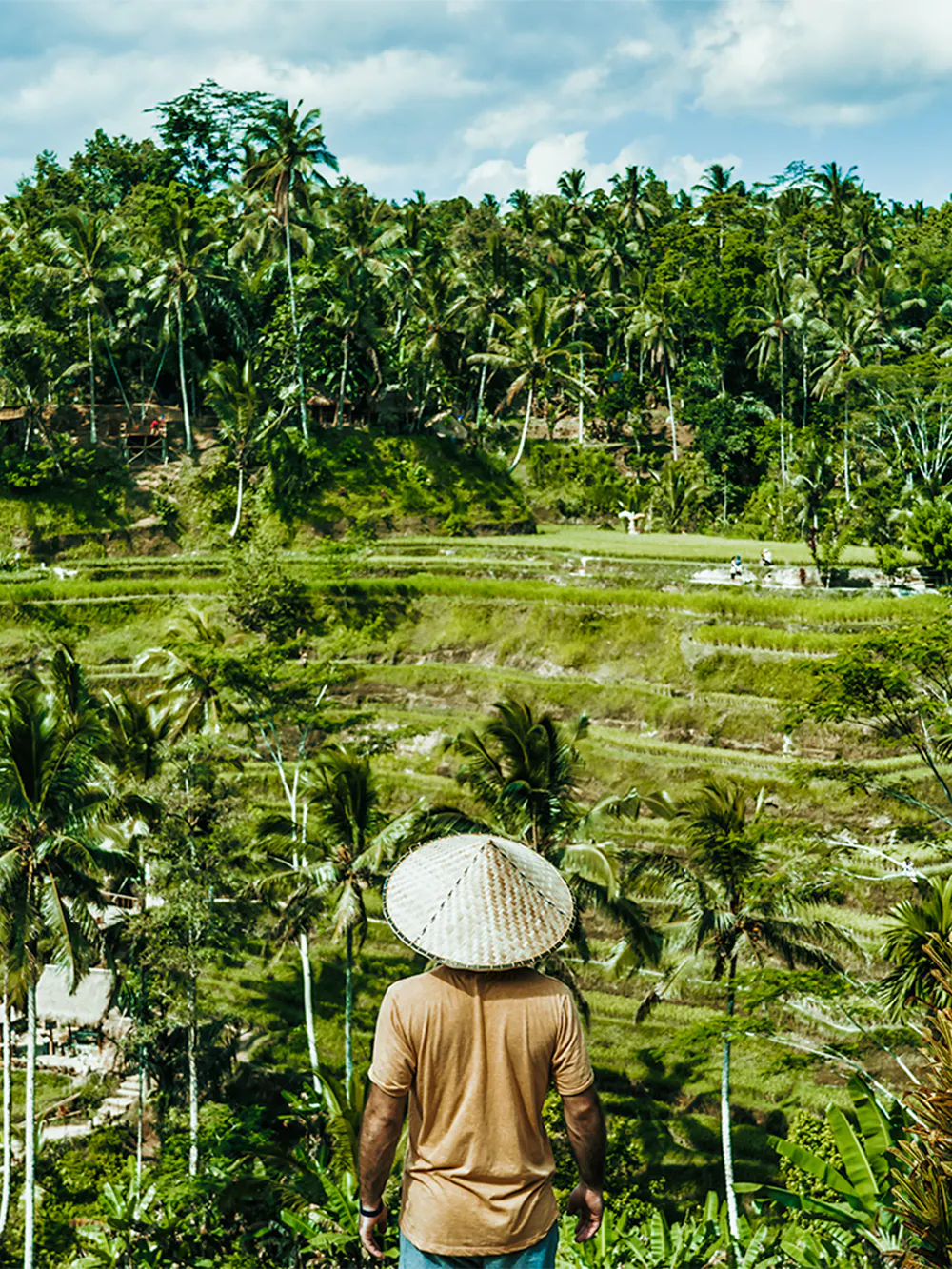 Bali To Ubud Tours