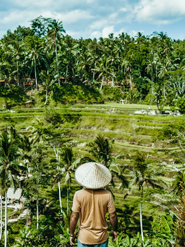 Person overlooking terraced rice fields in Ubud, Bali, surrounded by lush greenery.