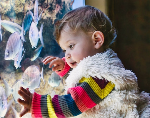 Genoa Aquarium - Tropical Routes