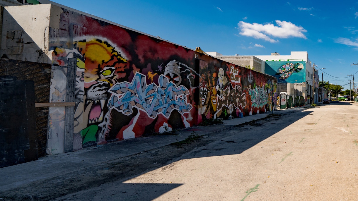 Wynwood Walls miami