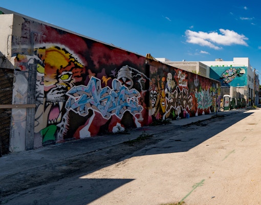 Wynwood Walls Miami street art murals with vibrant graffiti and colorful urban artwork