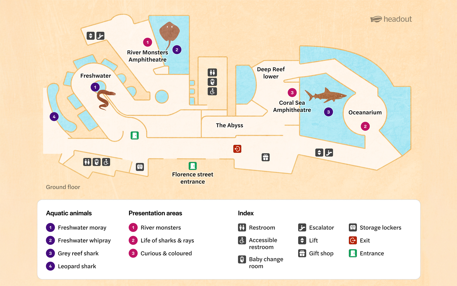 Map of aquarium layout with amphitheaters, aquatic animals, and facilities.