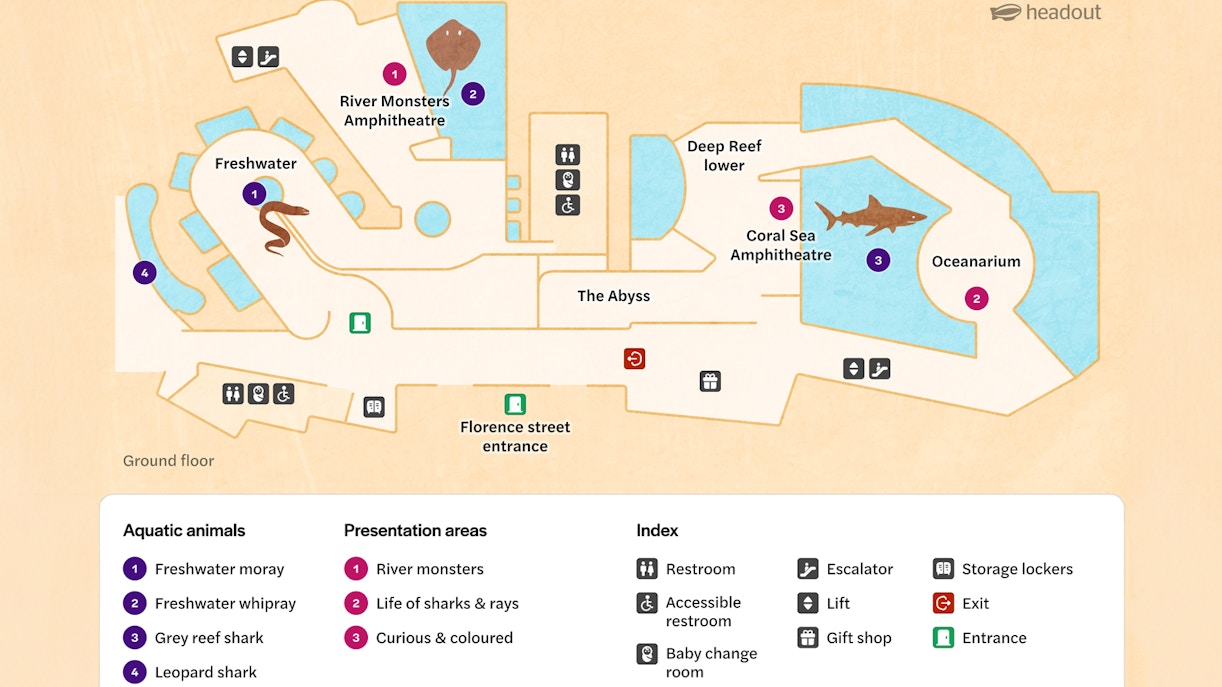 Map of aquarium layout with amphitheaters, aquatic animals, and facilities.