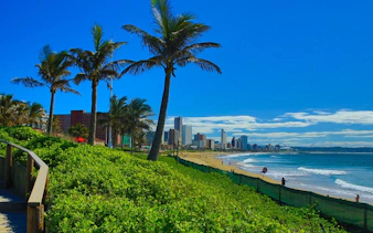 Durban beachfront with city skyline and palm trees on a sunny day.