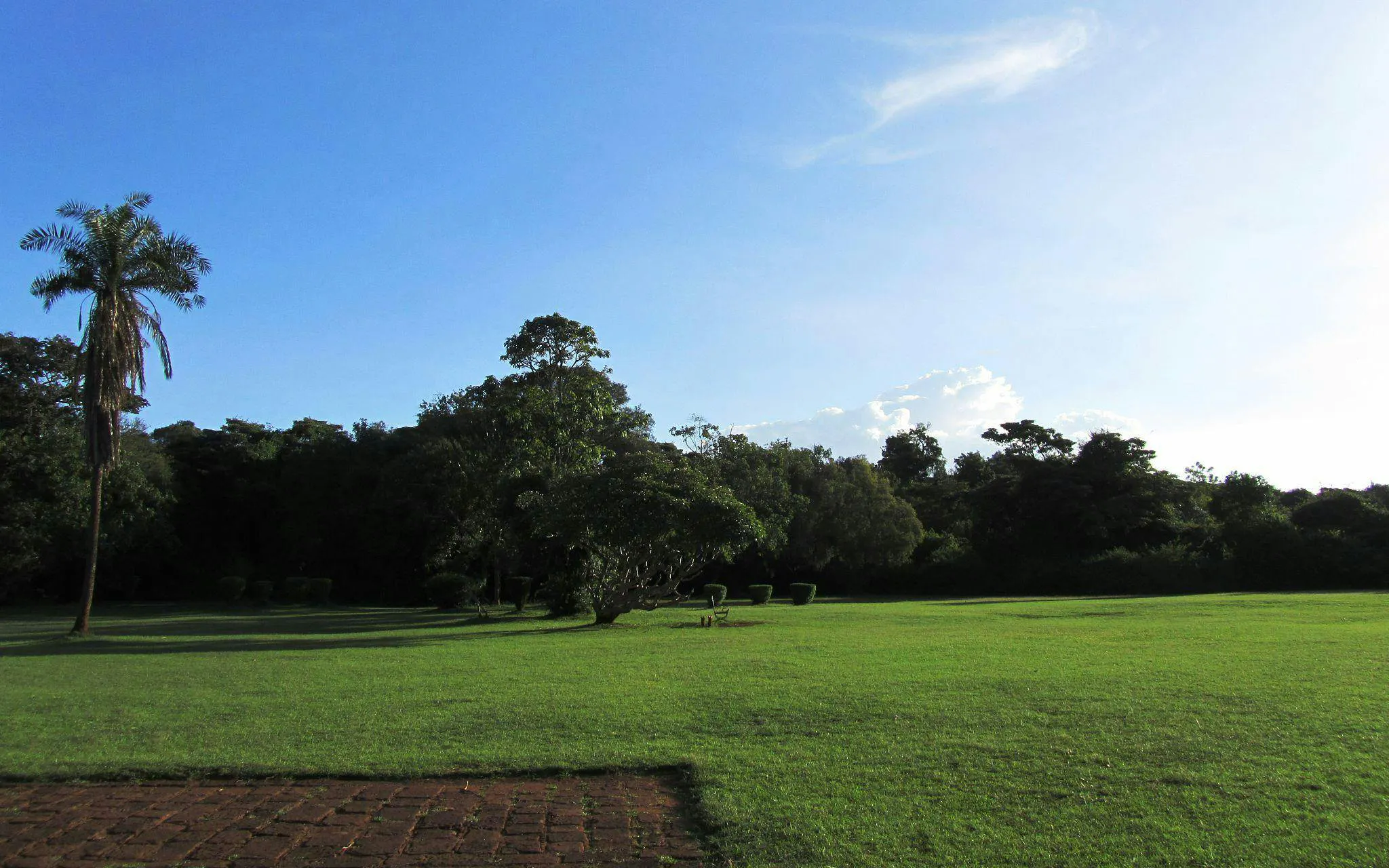 Lush green lawn at Karen Blixen Museum, Nairobi, with trees and clear sky.