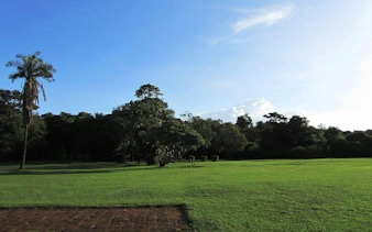 Lush green lawn at Karen Blixen Museum, Nairobi, with trees and clear sky.