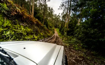 Jeep driving through lush forest trail in Arrábida, Lisbon.