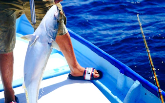 Fishing catch on a boat during Zanzibar local fishing adventure.