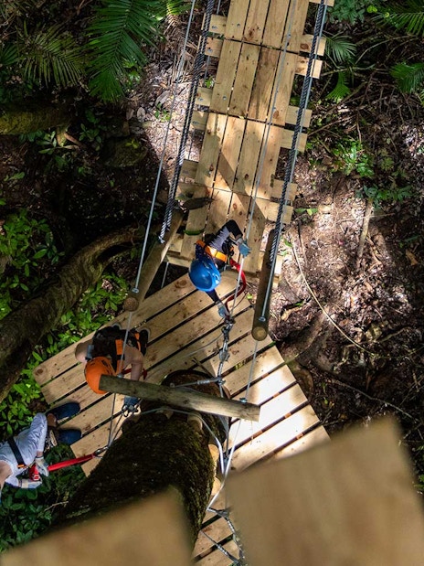 Participants on a zipline platform in Daintree Rainforest, Australia.