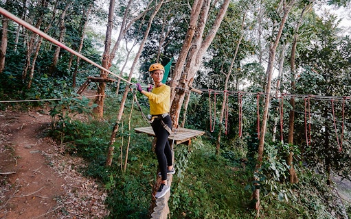 Young woman on a treetop rope course with climbing gear in a forest adventure.