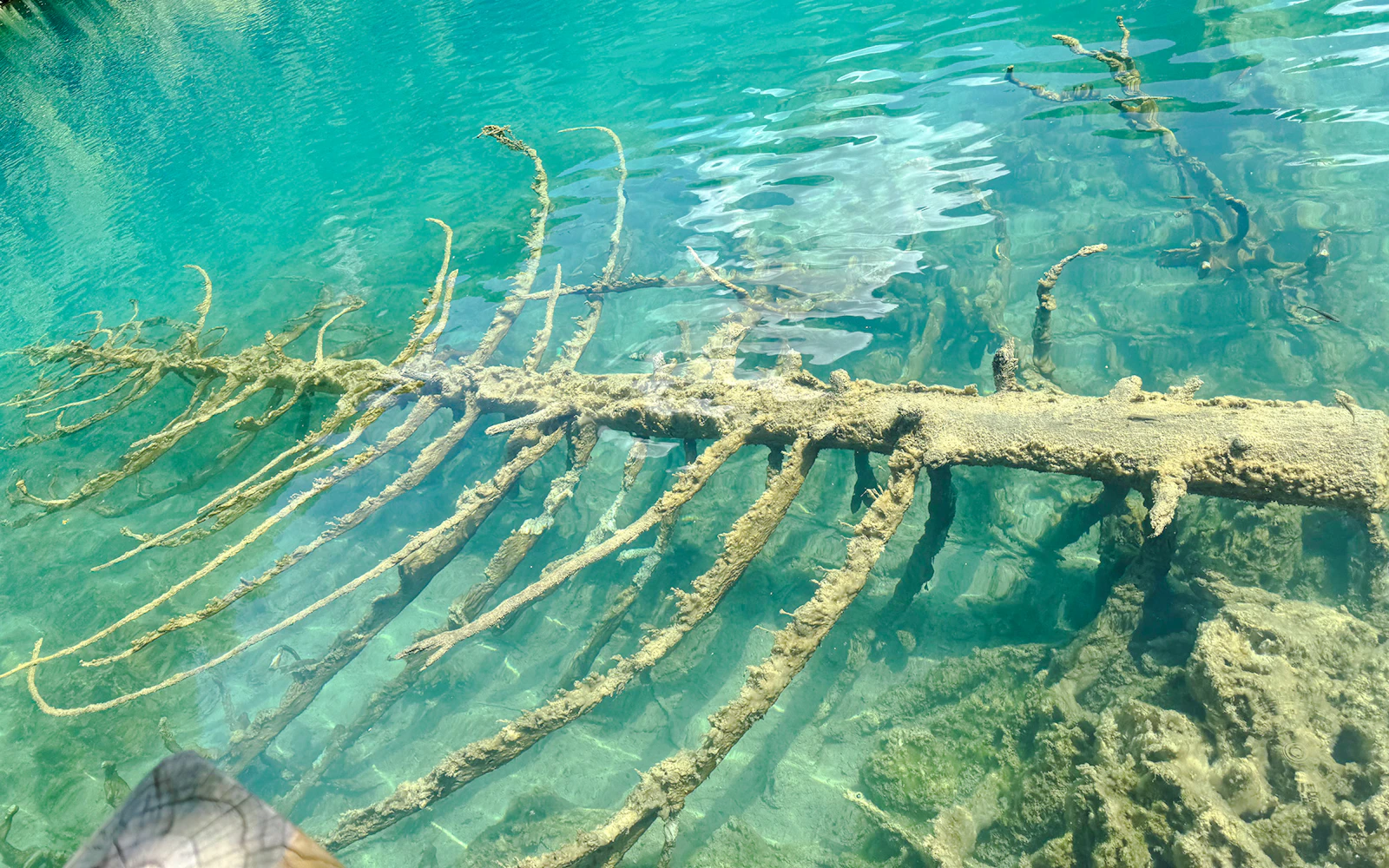 Jiuzhaigou Valley Entry Ticket with Sightseeing Bus (Product 56995)