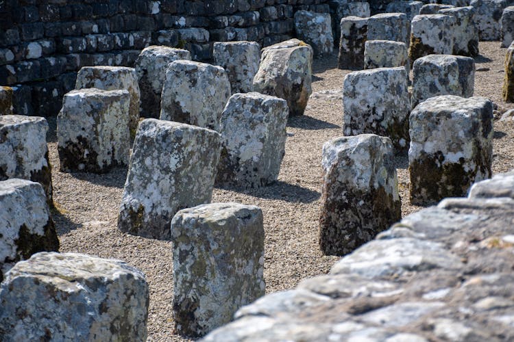 Housesteads Roman Fort