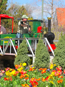 Miniature steam train ride through vibrant gardens at Cockington Green Gardens.