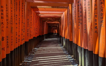 kyoto özel yürüyüş turu: fushimi, bambu, tenryuji, maymun parkı ve kinkakuji-2