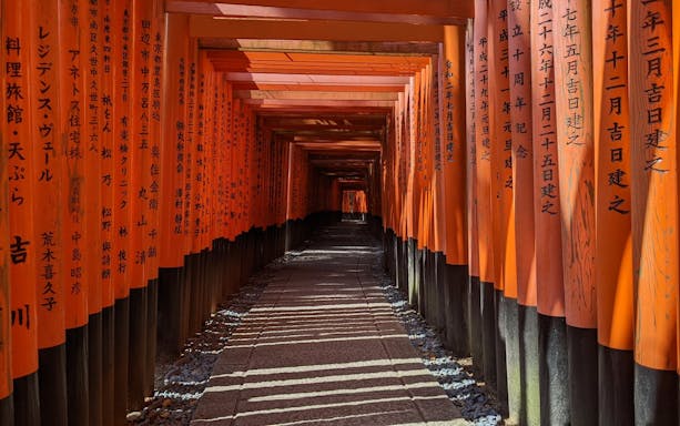 tur pietonal privat în kyoto: fushimi, pădurea de bambus, tenryuji, parcul maimuțelor și kinkakuji-2